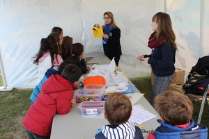 Taller de noviembre 2015